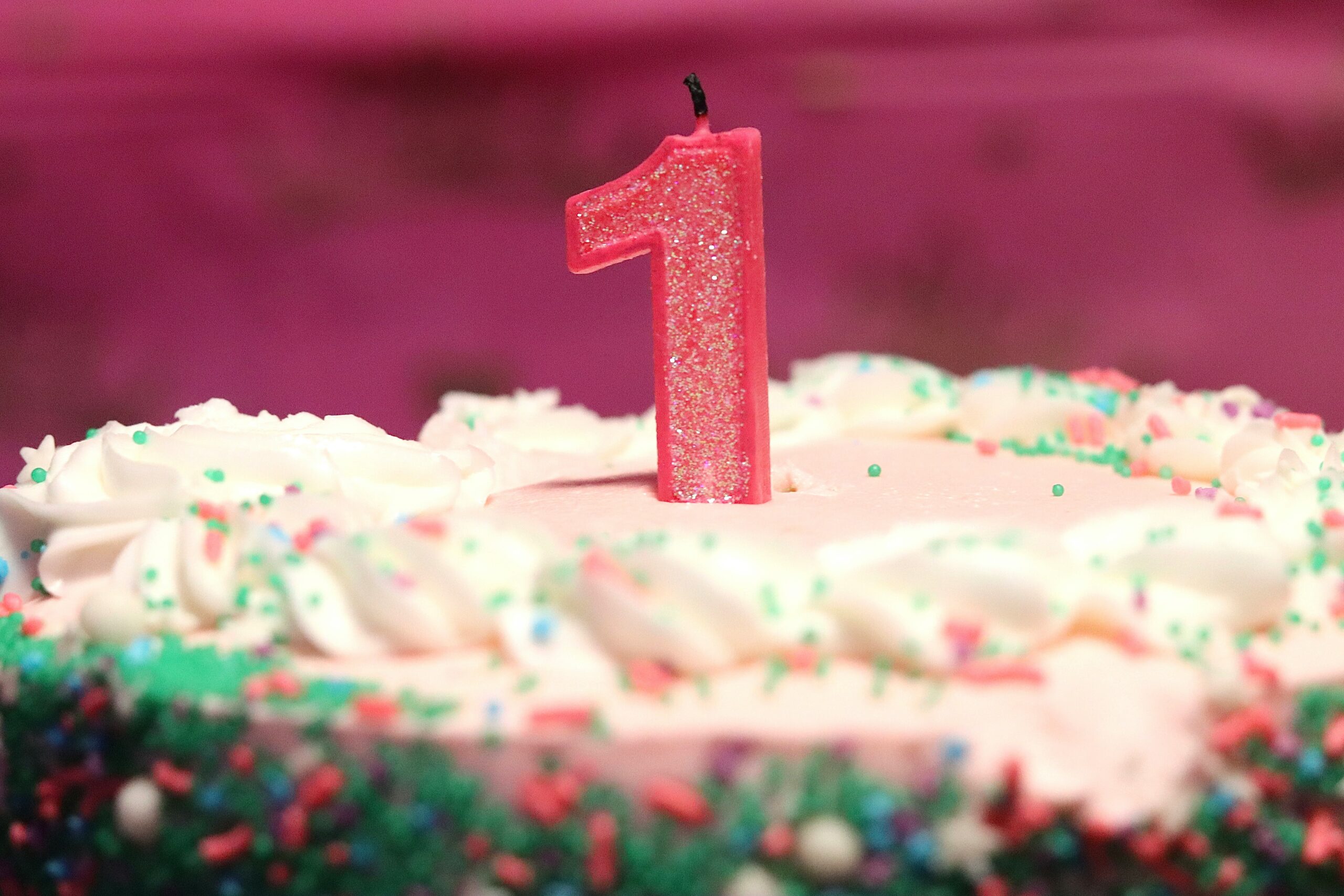 One year at boldstart