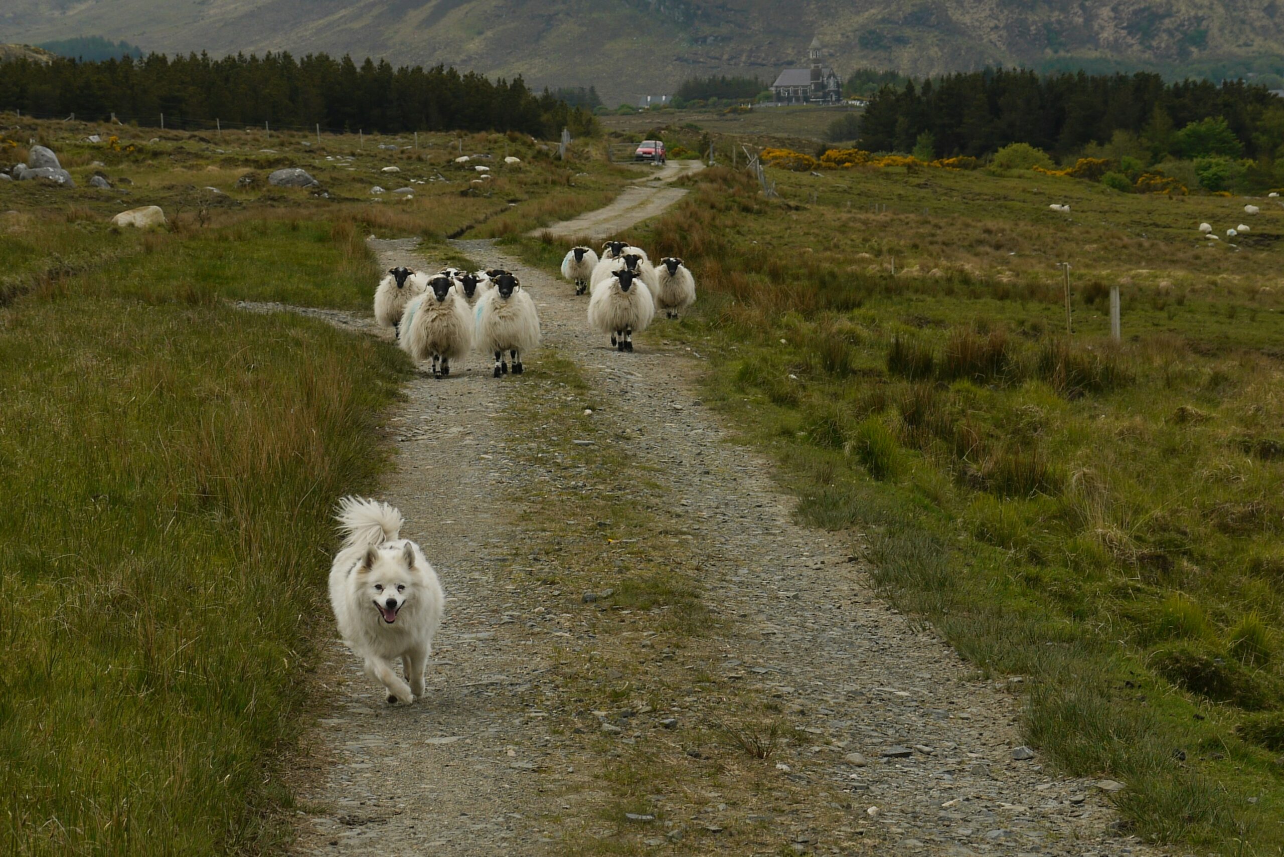 AI natives and AI wannabes